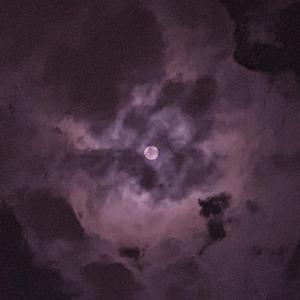 亲近相尾中妈妈和谁在一起了
